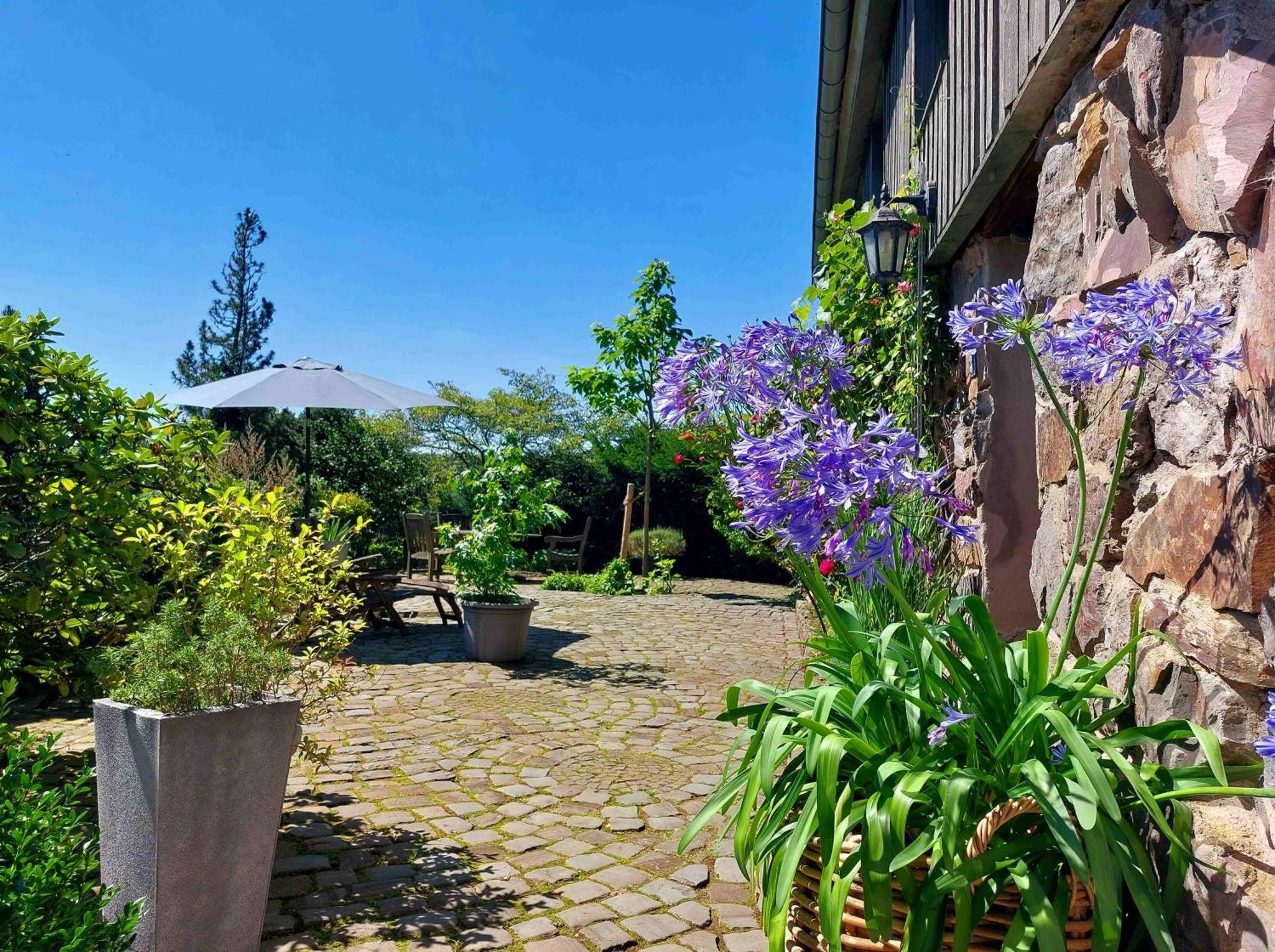 Kleines Haus Mitten In Der Natur Mit Eigener Terrasse Und Sonnenbalkon Halver المظهر الخارجي الصورة